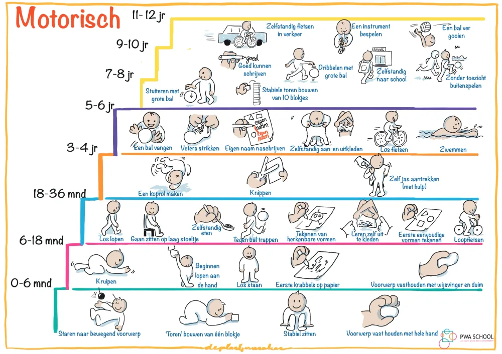 Infographic ‘Motorisch’: een trap van 0 tot 12 jaar met getekende kinderen per ontwikkelingsfase.